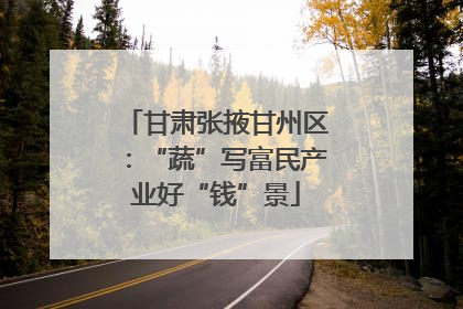 甘肃张掖甘州区：“蔬”写富民产业好“钱”景